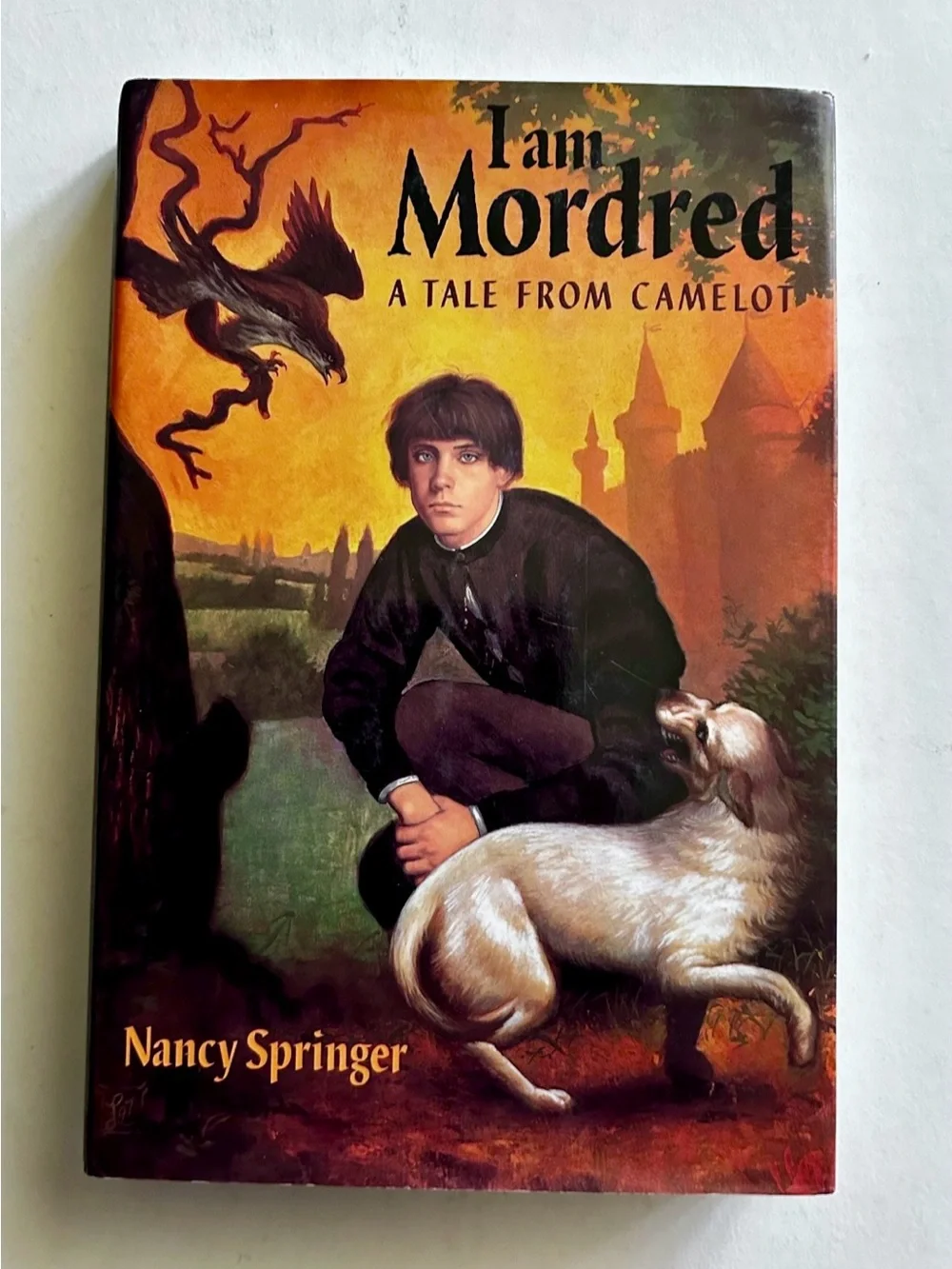 I Am Mordred: A Tale From Camelot – Nancy Springer (1998) Hardcover